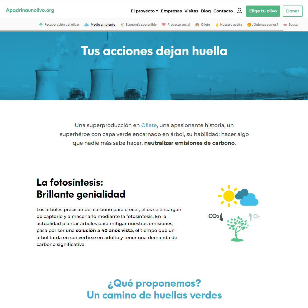 Impacto social y ambiental en Oliete